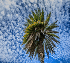 photo dslr picture digital photography