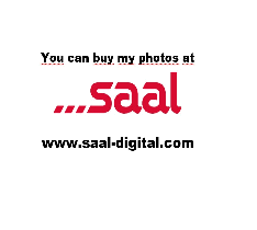 photo dslr picture digital photography